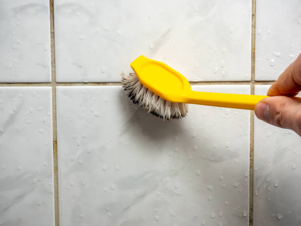Best Emergency Mold Removal  in Reading, OH