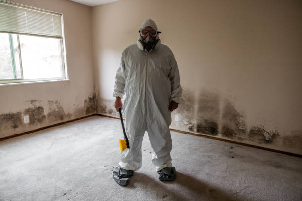 Best Residential Mold Removal  in Reading, OH